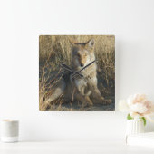 R15 Coyote Liggend Vierkante Klok (Huis)