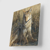 R15 Coyote Liggend Vierkante Klok (Hoek)