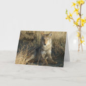 R15 het Leggen van de Coyote Kaart (Gele Bloem)