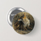 R16 Coyote Krabben Ronde Button 5,7 Cm (Voorkant /achterkant)