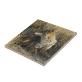 R16 Coyote Krabben Tegeltje (Zijkant)