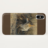 R16 Coyote Krabt Case-Mate iPhone Case (Achterkant (horizontaal))