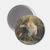 R16 Coyote Krabt Magneet (Voorkant / Achterkant)