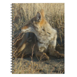 R16 Coyote Krabt Notitieboek