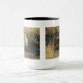 R16 Coyote Laying Mok (Midden)