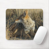 R16 Coyote Liggend Muismat (Met muis)
