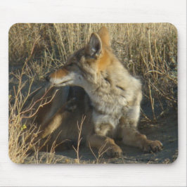 R16 Coyote Liggend Muismat