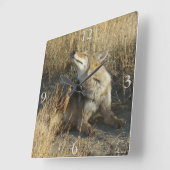 R17 Coyote Krabbelt Vierkante Klok (Hoek)
