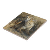 R17 Coyote Krabbend Tegeltje (Zijkant)