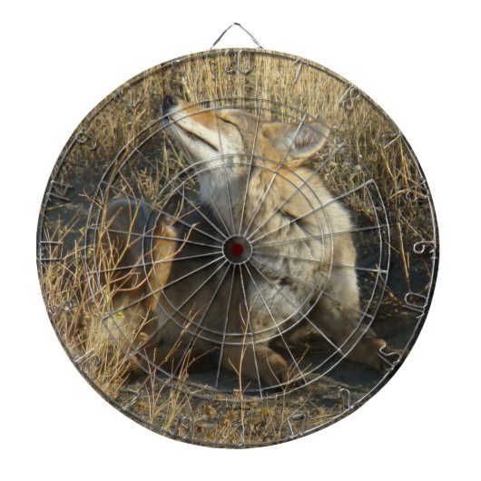 R17 Coyote Krabt Dartbord (Voorkant)
