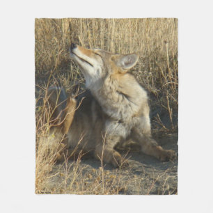 R17 Coyote Krabt Fleece Deken