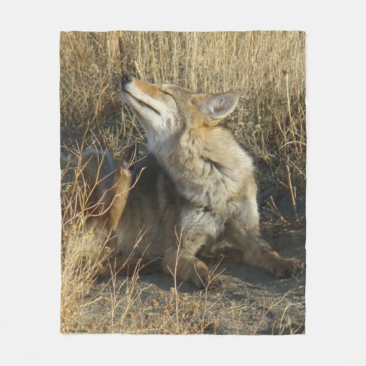 R17 Coyote Krabt Fleece Deken (Voorkant)