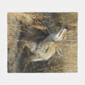 R17 Coyote Krabt Fleece Deken (Voorkant (Horizontaal))