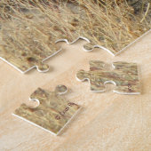 R17 Coyote Krabt Legpuzzel (Zijkant)