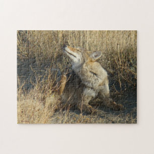 R17 Coyote Krabt Legpuzzel