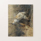 R17 Coyote Krabt Legpuzzel (Verticaal)