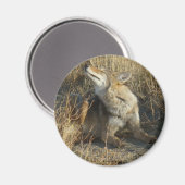 R17 Coyote Krabt Magneet (Voorkant / Achterkant)