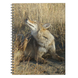 R17 Coyote Krabt Notitieboek