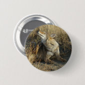 R17 Coyote Krabt Ronde Button 5,7 Cm (Voorkant /achterkant)