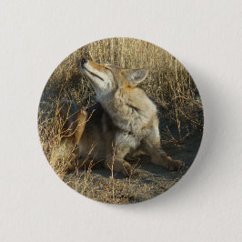 R17 Coyote Krabt Ronde Button 5,7 Cm