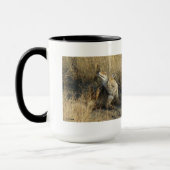 R17 Coyote kraken Mok (Links)