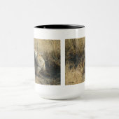 R17 Coyote kraken Mok (Midden)