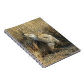 R17 Coyote kraken Notitieboek (Rechterzijde)