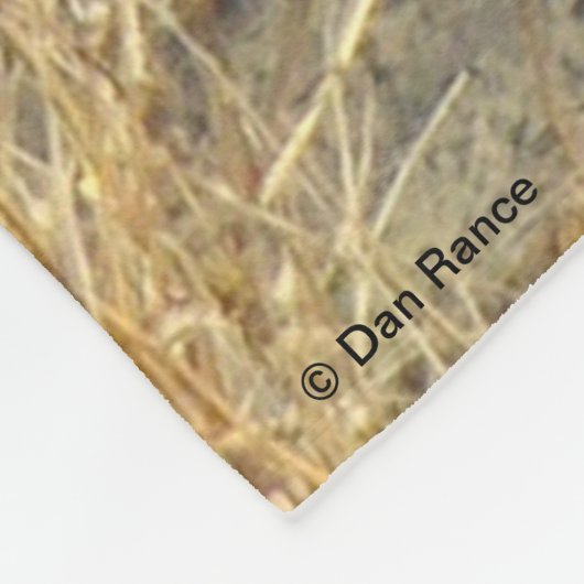 R18 Coyote Laying Fleece Deken (Hoek)