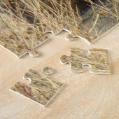 R18 Coyote Laying Legpuzzel (Zijkant)