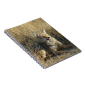 R18 Coyote Laying Notitieboek (Rechterzijde)