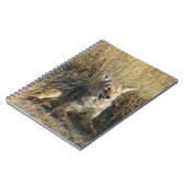 R18 Coyote Laying Notitieboek (Linkerzijde)