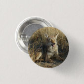 R18 Coyote Laying Ronde Button 3,2 Cm (Voorkant /achterkant)