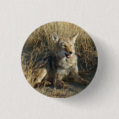 R18 Coyote Laying Ronde Button 3,2 Cm (Voorkant)