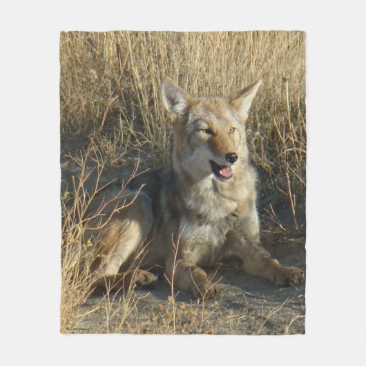R18 Coyote Liggend Fleece Deken (Voorkant)
