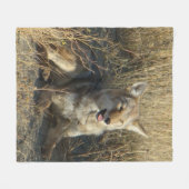 R18 Coyote Liggend Fleece Deken (Voorkant (Horizontaal))