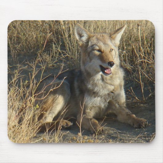 R18 Coyote Liggend Muismat (Voorkant)