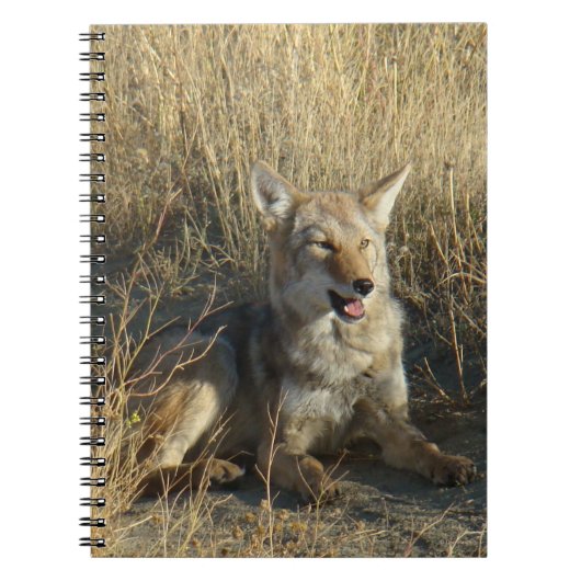 R18 Coyote Liggend Notitieboek (Voorkant)