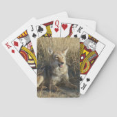 R18 Coyote Liggend Pokerkaarten (Achterkant)
