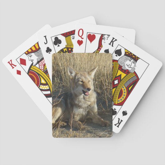 R18 Coyote Liggend Pokerkaarten (Achterkant)