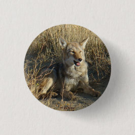 R18 Coyote Liggend Ronde Button 3,2 Cm