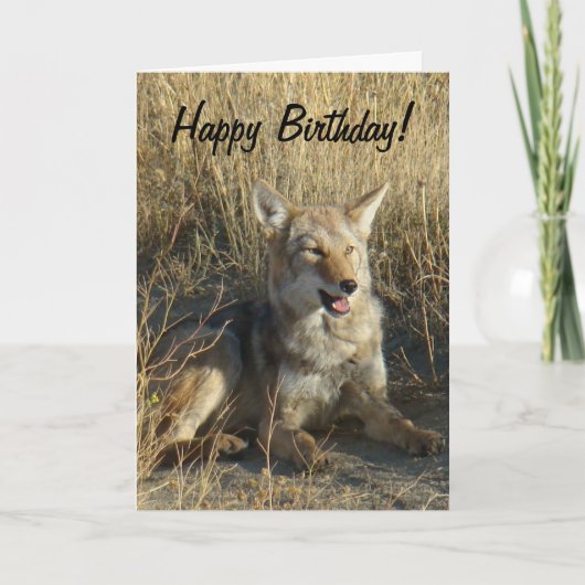 R18 het Leggen van de Coyote Kaart (Voorkant)