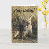 R18 het Leggen van de Coyote Kaart (Gele Bloem)