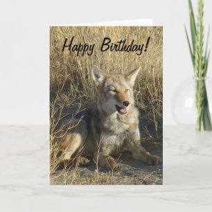 R18 het Leggen van de Coyote Kaart