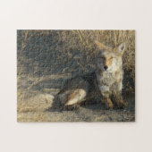 R19 Coyote Laying Legpuzzel (Horizontaal)