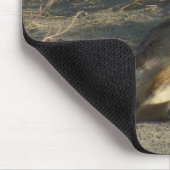 R19 Coyote Laying Muismat (Hoek)