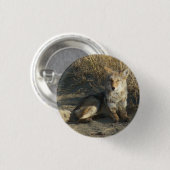 R19 Coyote Laying Ronde Button 3,2 Cm (Voorkant /achterkant)