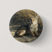R19 Coyote Laying Ronde Button 3,2 Cm (Voorkant)