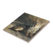 R19 Coyote Laying Tegeltje (Zijkant)