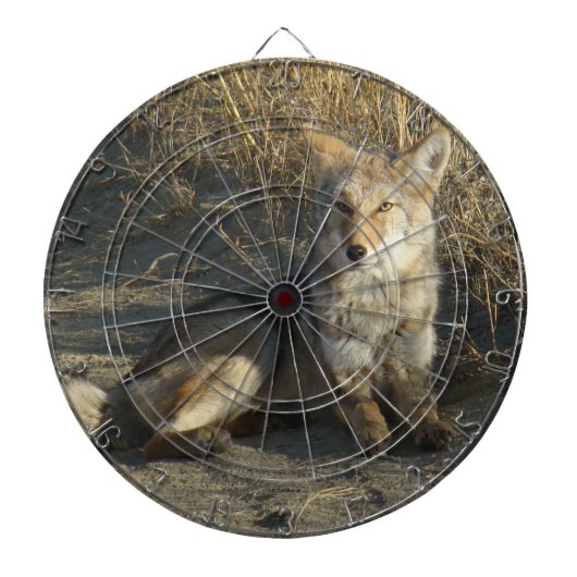 R19 Coyote Liggend Dartbord (Voorkant)