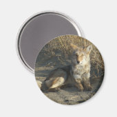 R19 Coyote Liggend Magneet (Voorkant / Achterkant)